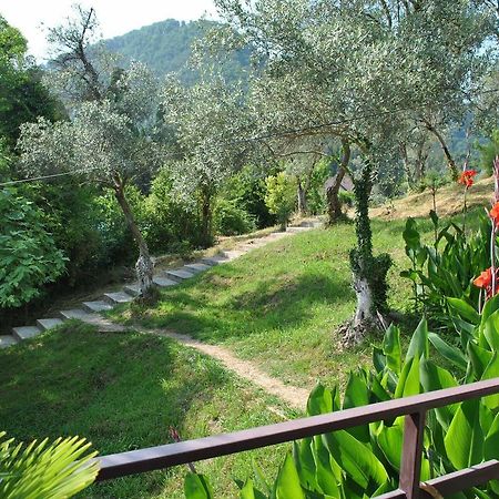 Villa Oliva New Athos Екстериор снимка